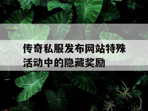 传奇私服发布网站特殊活动中的隐藏奖励