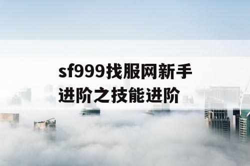 sf999找服网新手进阶之技能进阶