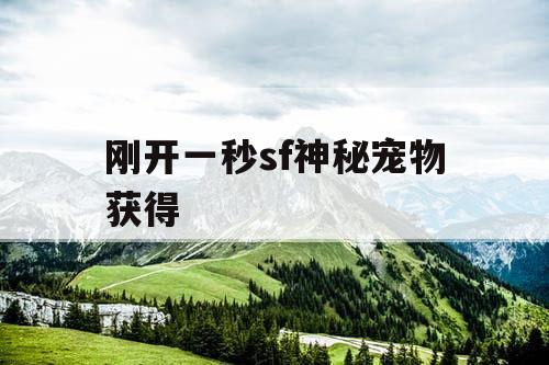 刚开一秒sf神秘宠物获得