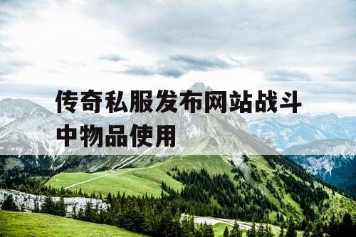 传奇私服发布网站战斗中物品使用