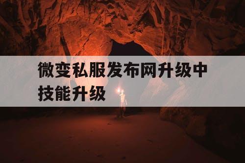 微变私服发布网升级中技能升级