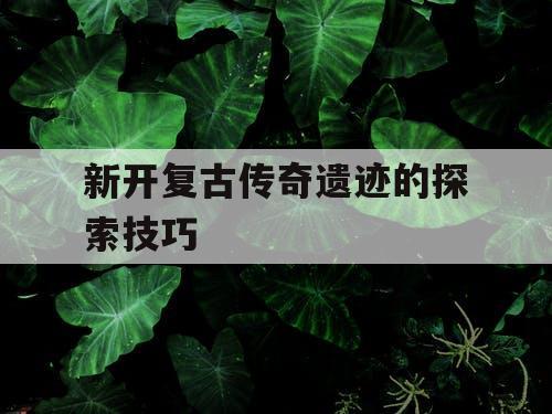 新开复古传奇遗迹的探索技巧