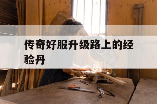 传奇好服升级路上的经验丹