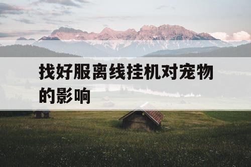 找好服离线挂机对宠物的影响