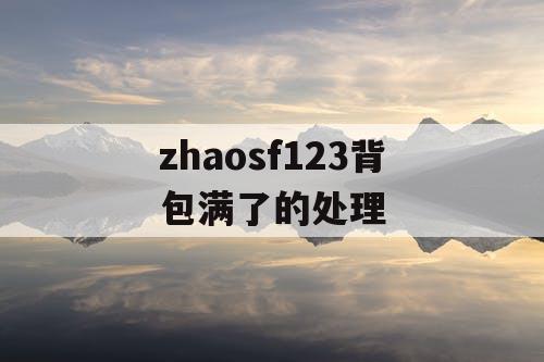 zhaosf123背包满了的处理 zhaosf123背包满了的处理