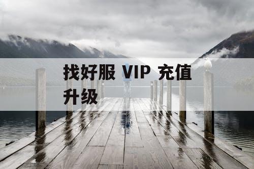 找好服 VIP 充值升级