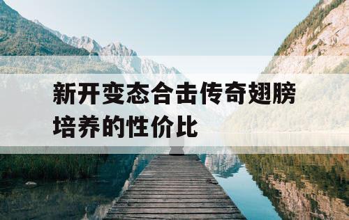 新开变态合击传奇翅膀培养的性价比