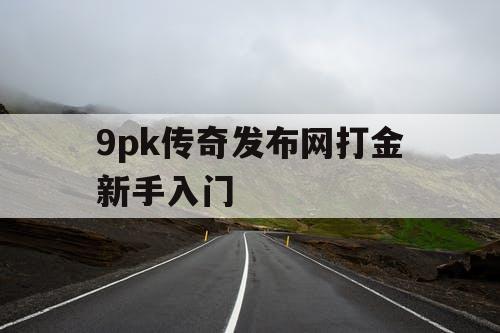 9pk传奇发布网打金新手入门