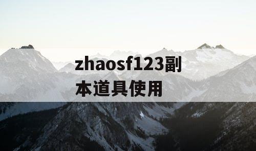 zhaosf123副本道具使用