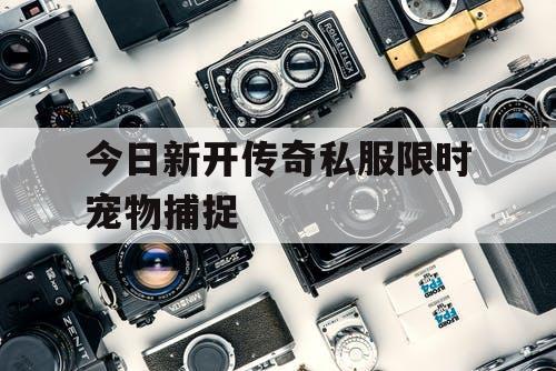 今日新开传奇私服限时宠物捕捉