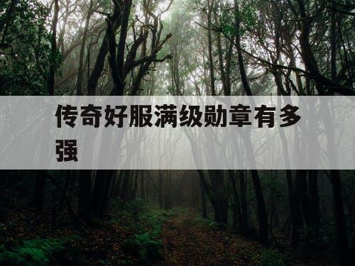 传奇好服满级勋章有多强