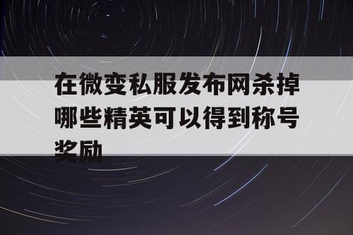 在微变私服发布网杀掉哪些精英可以得到称号奖励