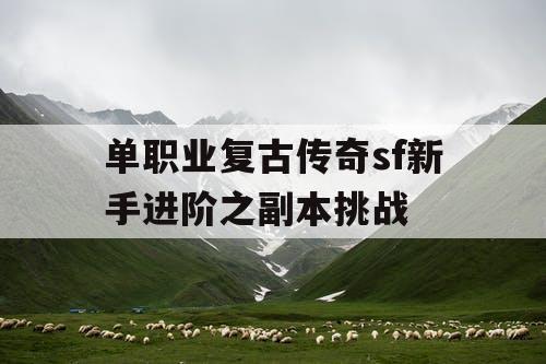 单职业复古传奇sf新手进阶之副本挑战