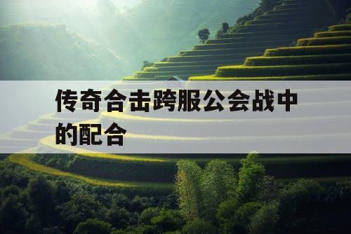 传奇合击跨服公会战中的配合