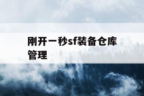 刚开一秒sf装备仓库管理