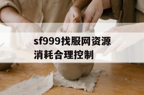 sf999找服网资源消耗合理控制