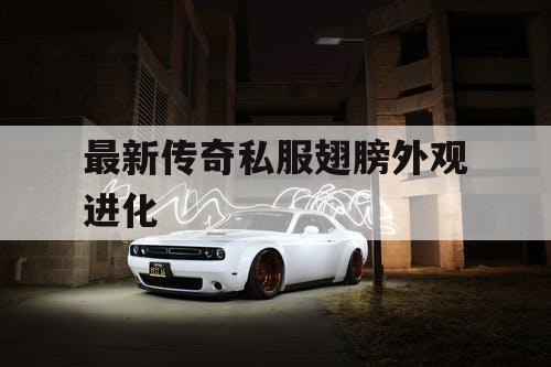 最新传奇私服翅膀外观进化