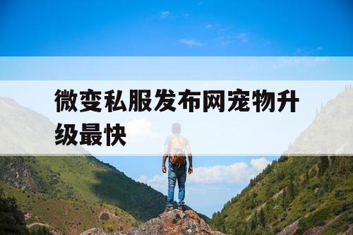 微变私服发布网宠物升级最快