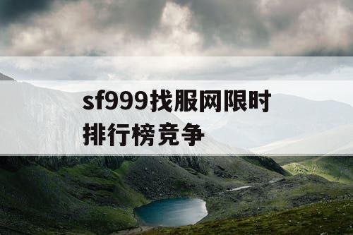 sf999找服网限时排行榜竞争