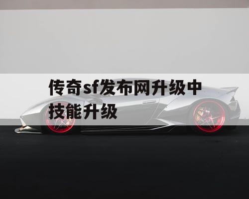 传奇sf发布网升级中技能升级