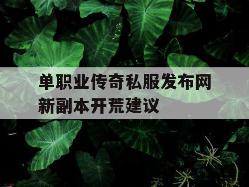 单职业传奇私服发布网新副本开荒建议