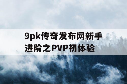9pk传奇发布网新手进阶之PVP初体验