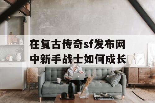 在复古传奇sf发布网中新手战士如何成长