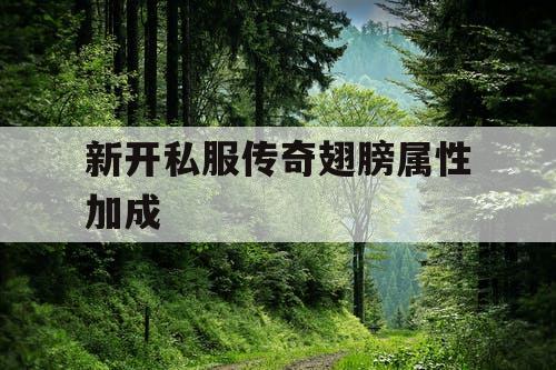 新开私服传奇翅膀属性加成