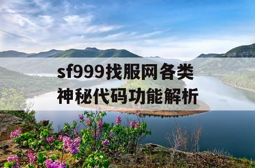 sf999找服网各类神秘代码功能解析