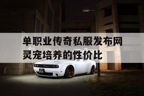 单职业传奇私服发布网灵宠培养的性价比