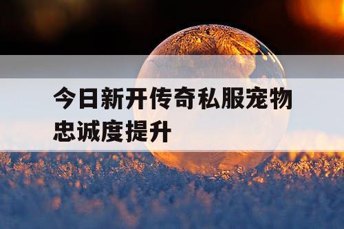 今日新开传奇私服宠物忠诚度提升