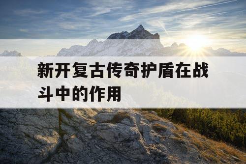 新开复古传奇护盾在战斗中的作用