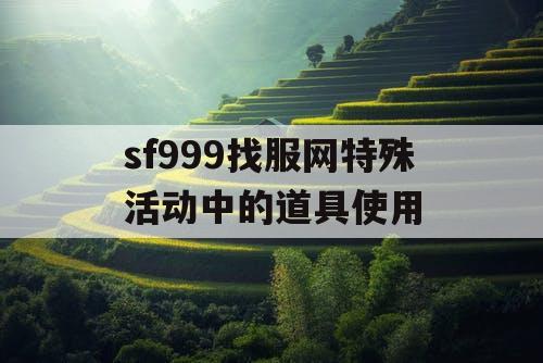 sf999找服网特殊活动中的道具使用