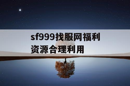 sf999找服网福利资源合理利用