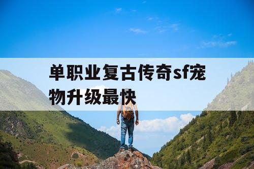 单职业复古传奇sf宠物升级最快