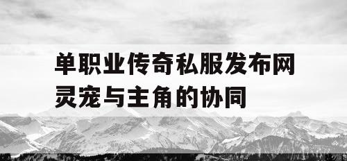 单职业传奇私服发布网灵宠与主角的协同