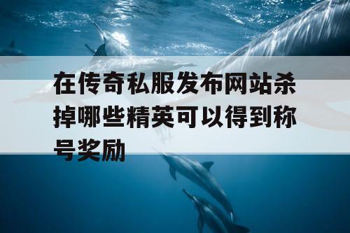 在传奇私服发布网站杀掉哪些精英可以得到称号奖励