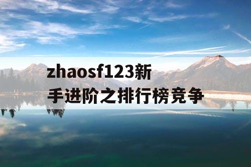 zhaosf123新手进阶之排行榜竞争