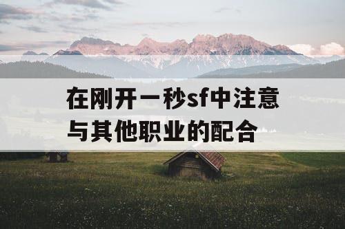 在刚开一秒sf中注意与其他职业的配合