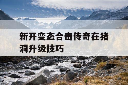 新开变态合击传奇在猪洞升级技巧