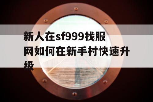 新人在sf999找服网如何在新手村快速升级