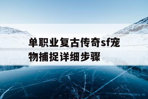 单职业复古传奇sf宠物捕捉详细步骤