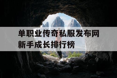 单职业传奇私服发布网新手成长排行榜