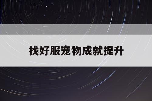 找好服宠物成就提升