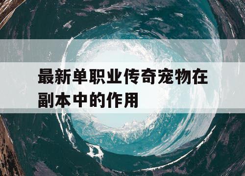 最新单职业传奇宠物在副本中的作用