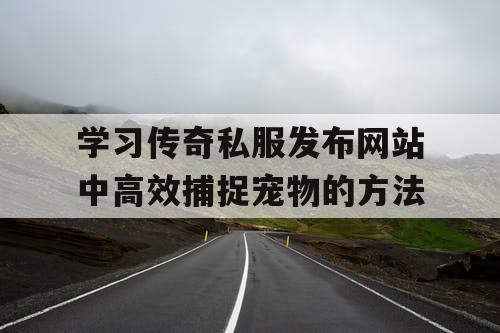 学习传奇私服发布网站中高效捕捉宠物的方法