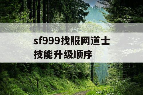 sf999找服网道士技能升级顺序