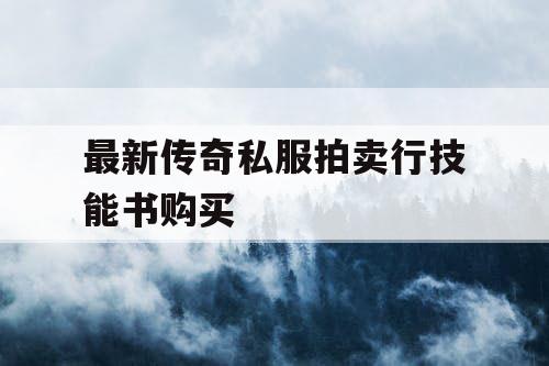 最新传奇私服拍卖行技能书购买