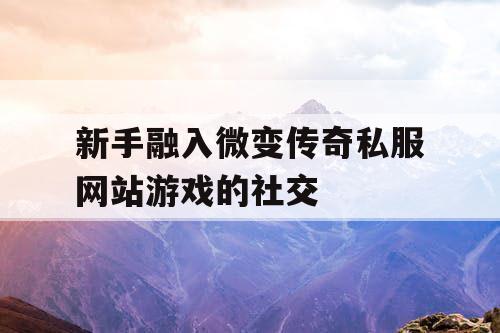 新手融入微变传奇私服网站游戏的社交