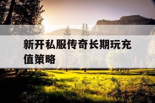 新开私服传奇长期玩充值策略